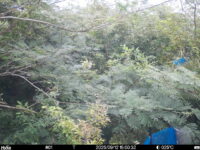 Sep 12 2025 15:00:32, #01