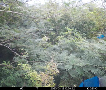 Sep 12 2025 15:00:32, #01