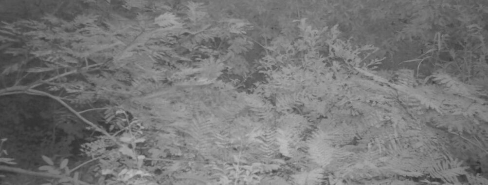 Sep 12 2025 18:00:30, #01