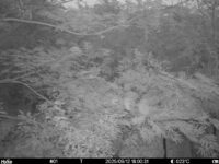 Sep 12 2025 18:00:30, #01