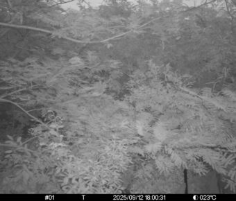 Sep 12 2025 18:00:30, #01