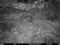 Sep 12 2025 21:00:32, #01