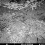 Sep 13 2025  0:00:31, #01