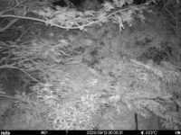 Sep 13 2025  0:00:31, #01