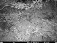 Sep 13 2025  3:00:31, #01