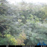 Sep 13 2025  6:00:31, #01