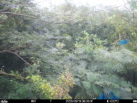 Sep 13 2025  6:00:31, #01