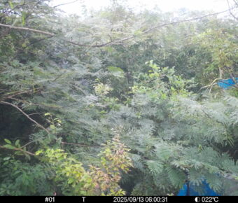 Sep 13 2025  6:00:31, #01