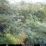 Sep 13 2025  9:00:31, #01
