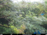 Sep 13 2025  9:00:31, #01