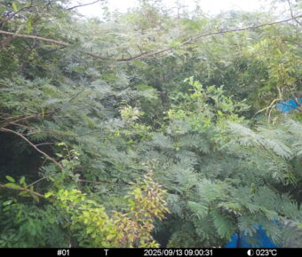 Sep 13 2025  9:00:31, #01