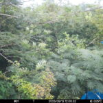 Sep 13 2025 12:00:32, #01