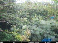 Sep 13 2025 12:00:32, #01