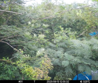 Sep 13 2025 12:00:32, #01