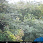 Sep 13 2025 15:00:32, #01