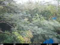 Sep 13 2025 15:00:32, #01