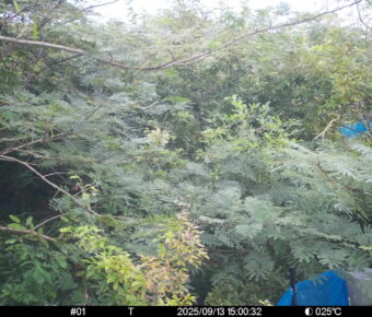 Sep 13 2025 15:00:32, #01