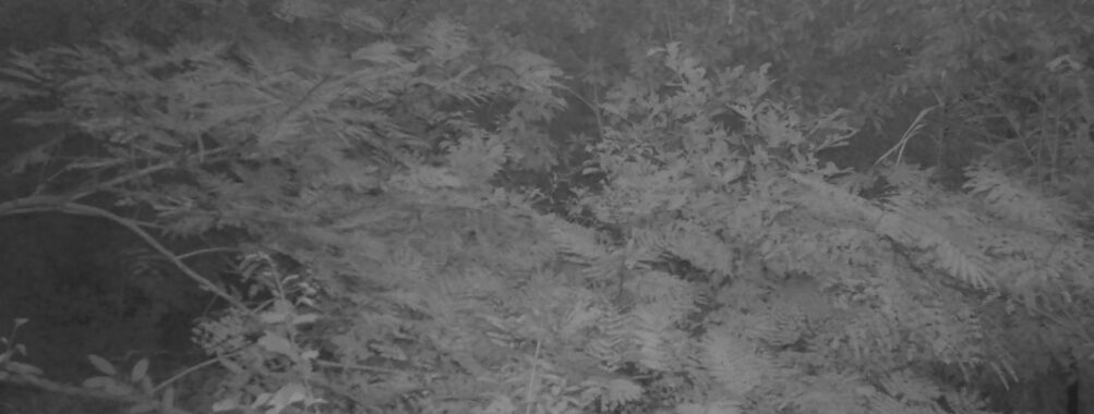 Sep 13 2025 18:00:32, #01