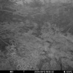 Sep 13 2025 18:00:32, #01