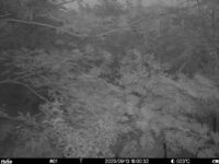 Sep 13 2025 18:00:32, #01