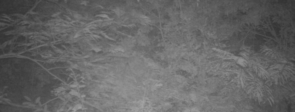 Sep 13 2025 21:00:32, #01