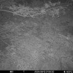 Sep 13 2025 21:00:32, #01