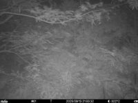 Sep 13 2025 21:00:32, #01