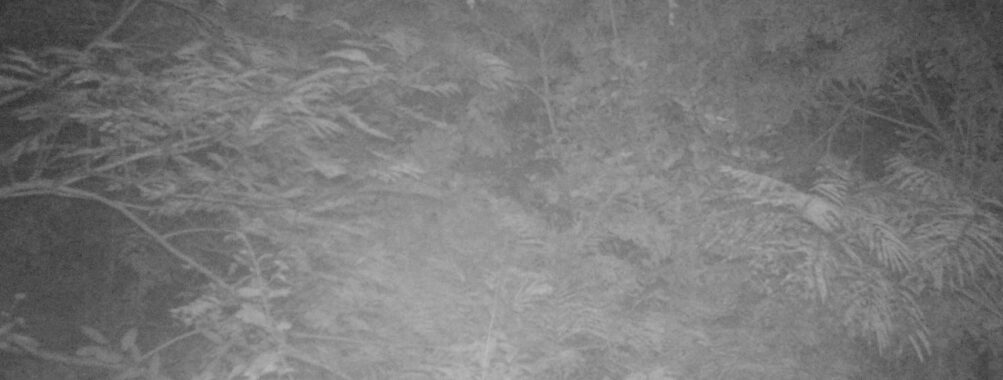 Sep 14 2025  0:00:31, #01