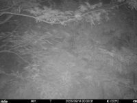 Sep 14 2025  0:00:31, #01