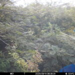 Sep 14 2025  6:00:31, #01