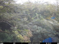 Sep 14 2025  6:00:31, #01