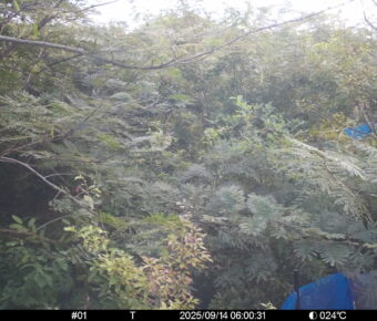 Sep 14 2025  6:00:31, #01