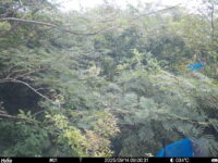 Sep 14 2025  9:00:31, #01