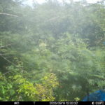 Sep 14 2025 12:00:32, #01