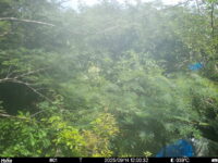 Sep 14 2025 12:00:32, #01