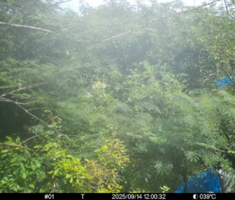 Sep 14 2025 12:00:32, #01