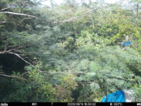 Sep 14 2025 15:00:31, #01