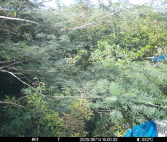 Sep 14 2025 15:00:31, #01