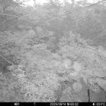 Sep 14 2025 18:00:32, #01