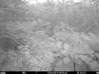 Sep 14 2025 18:00:32, #01