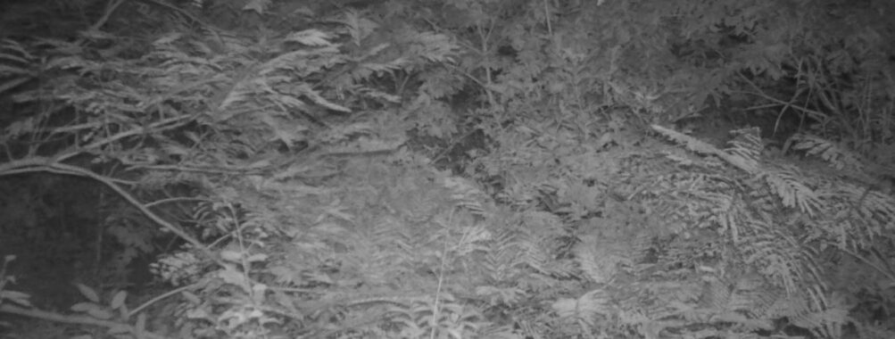 Sep 14 2025 21:00:31, #01