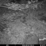 Sep 14 2025 21:00:31, #01