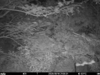 Sep 14 2025 21:00:31, #01