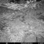 Sep 15 2025  3:00:31, #01