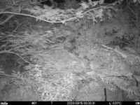 Sep 15 2025  3:00:31, #01