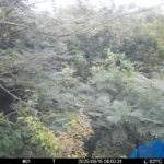 Sep 15 2025  6:00:31, #01