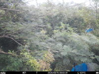 Sep 15 2025  6:00:31, #01