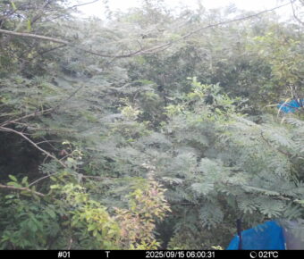 Sep 15 2025  6:00:31, #01