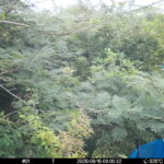 Sep 15 2025  9:00:31, #01