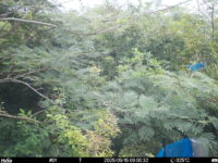 Sep 15 2025  9:00:31, #01